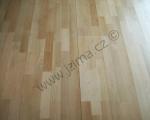 RD Ochoz 2008/2009 - 
